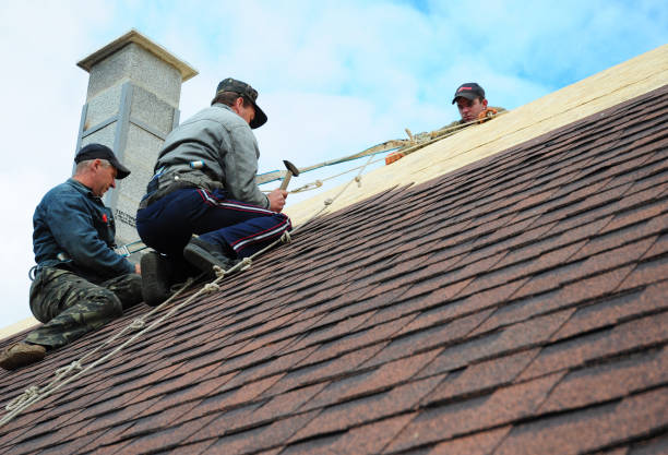 Roof Gutter Cleaning in Dacula, GA